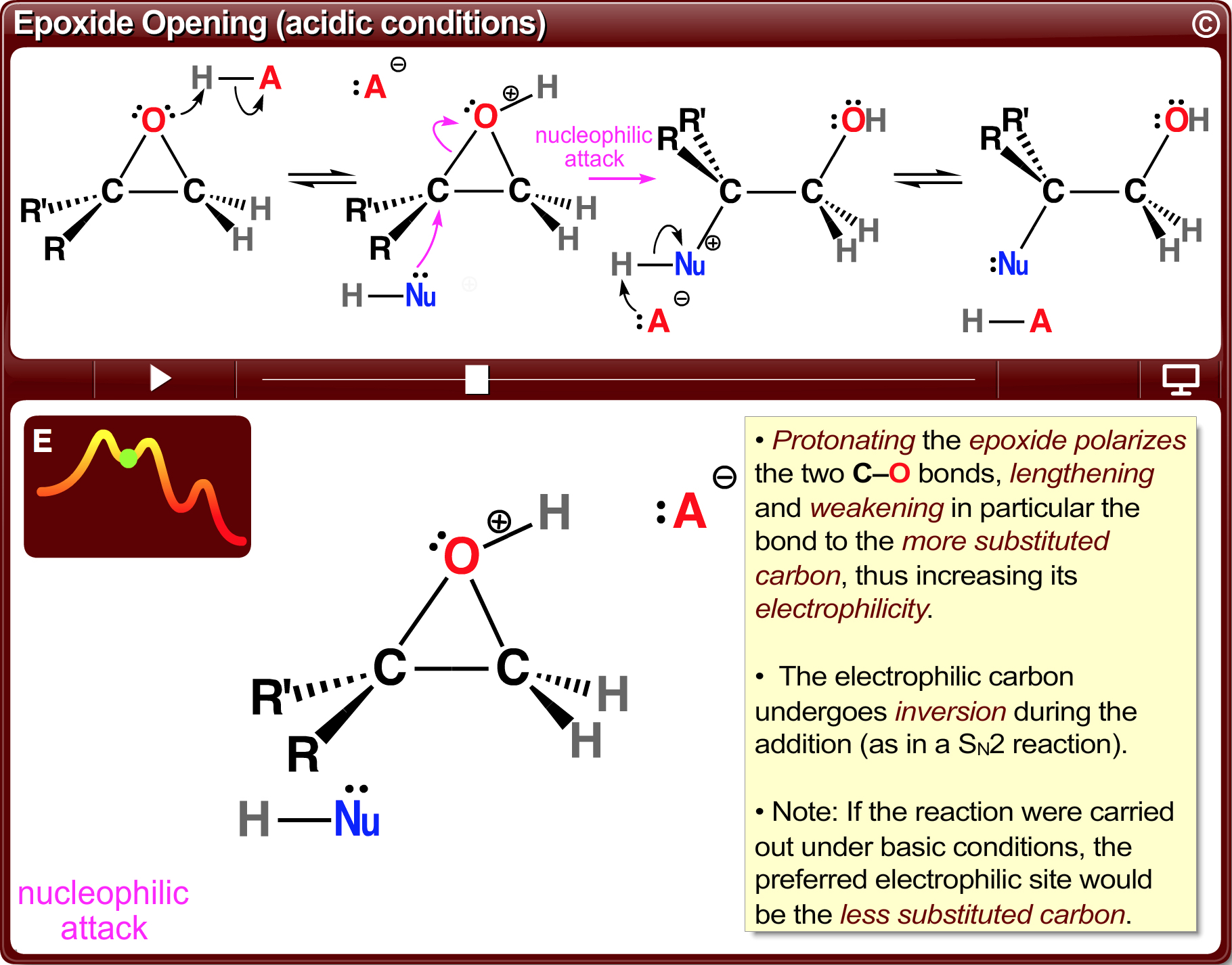Image of ChemWare for a reaction mechanism shown in study mode.